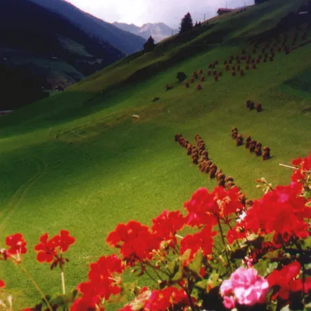 مزرعة للإقامة Ortner